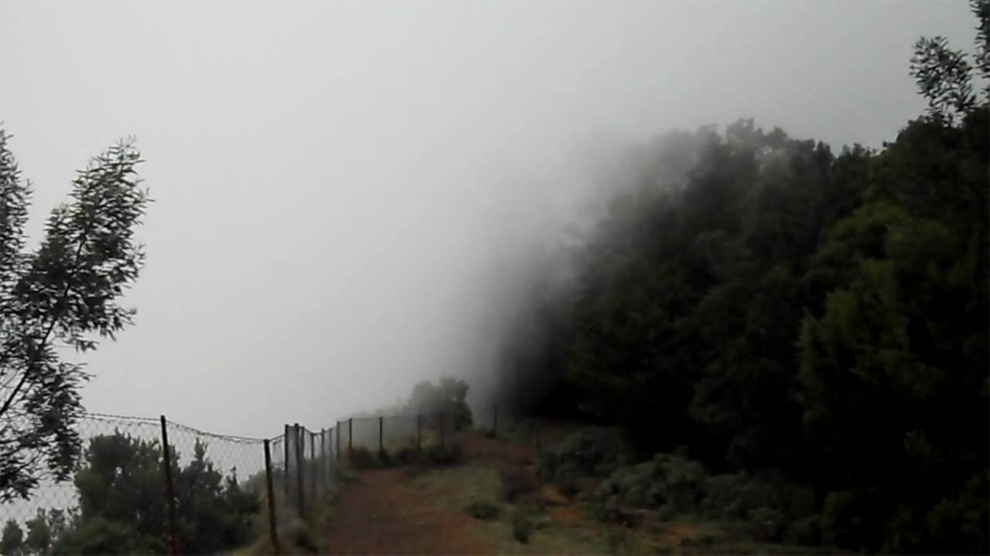 kodaikanal-forest-tour1