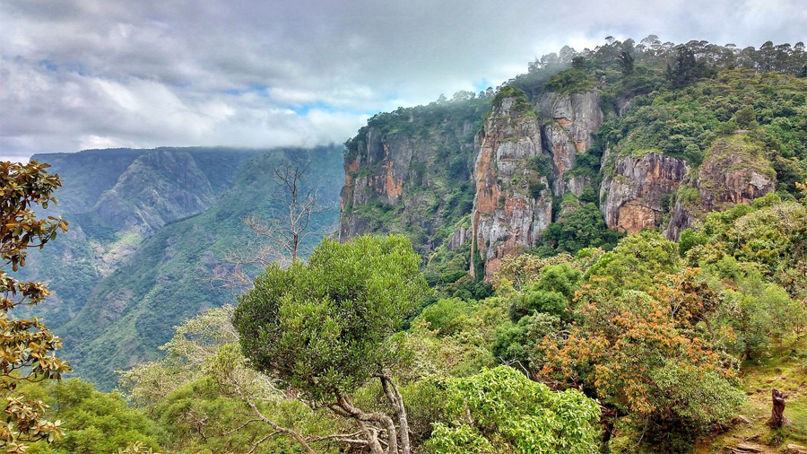 kodaikanal-fullday-tour